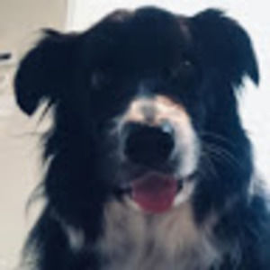 Meet your Posher, Stella